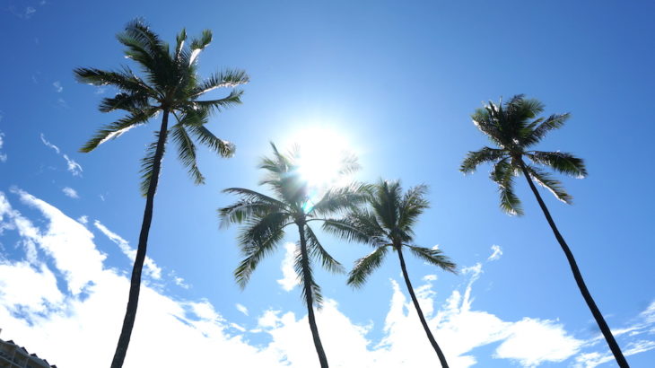 【ハワイ留学】IIE Hawaiiで選択できるコースやオススメの滞在方法について解説！