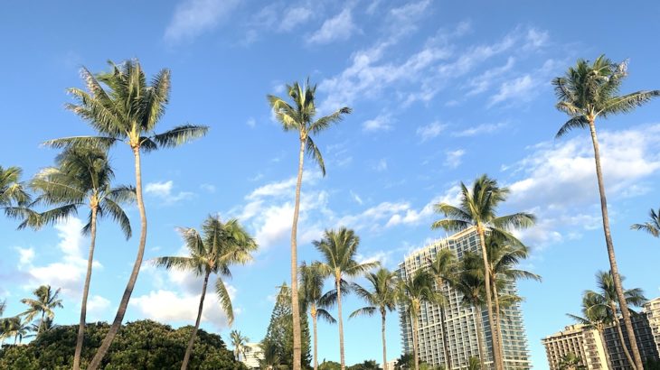 【ハワイ留学全解説】遊びも勉強！？ハワイ留学は自分を進化させる超貴重な経験